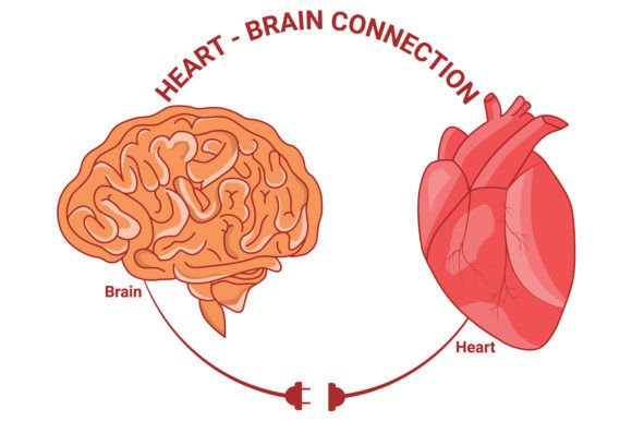 Download Heart and Brain Connection Vector Design - Heart Collection